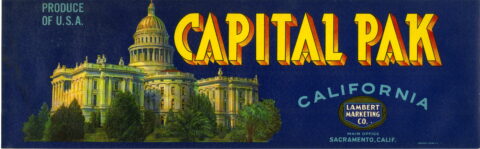 Capital Pak